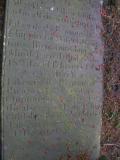 image of grave number 141881